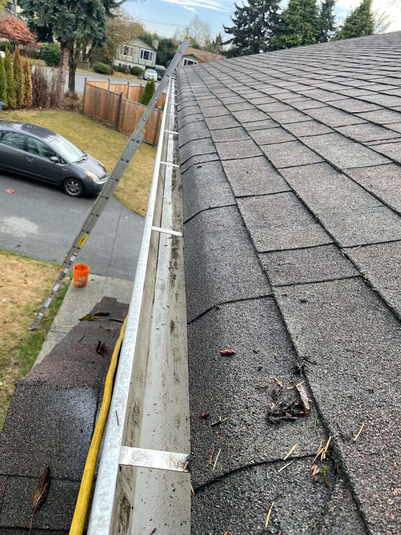Professional gutter cleaning result