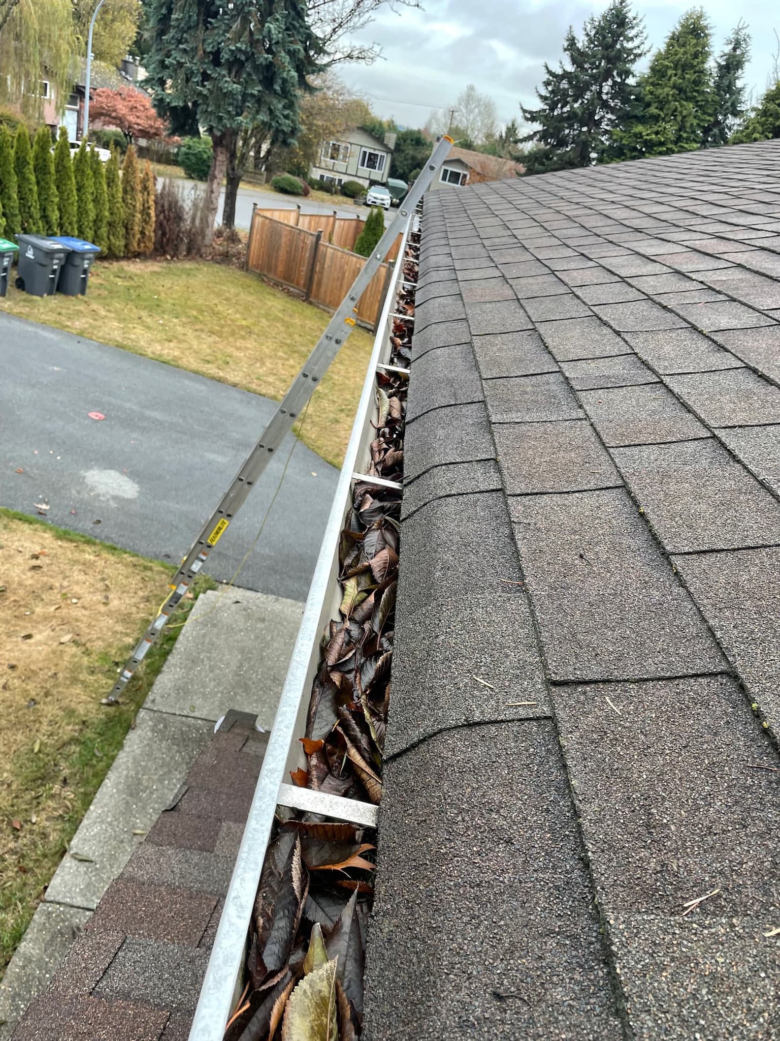 Before: heavy leaf buildup in gutter