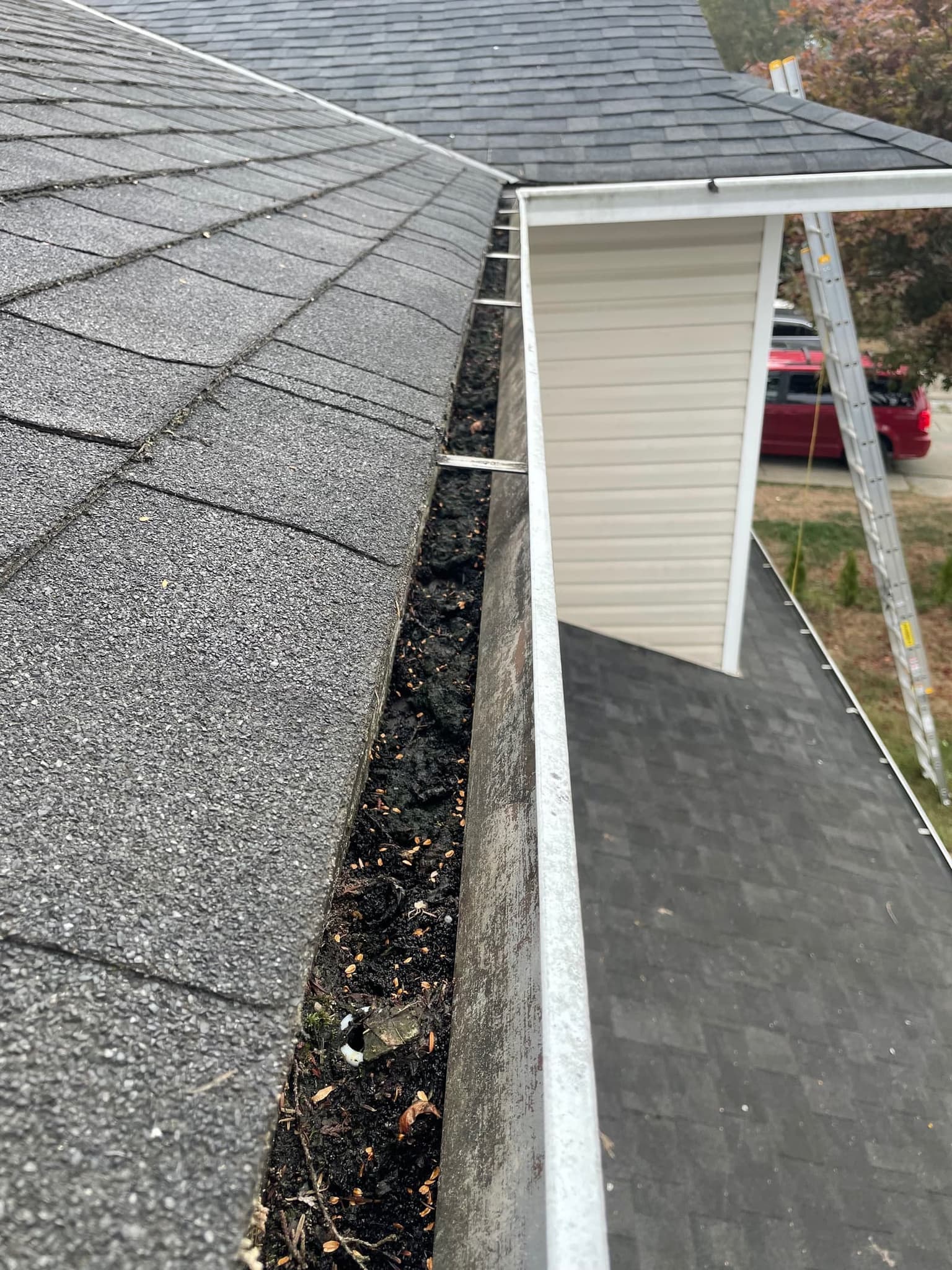 Before: clogged downspout area