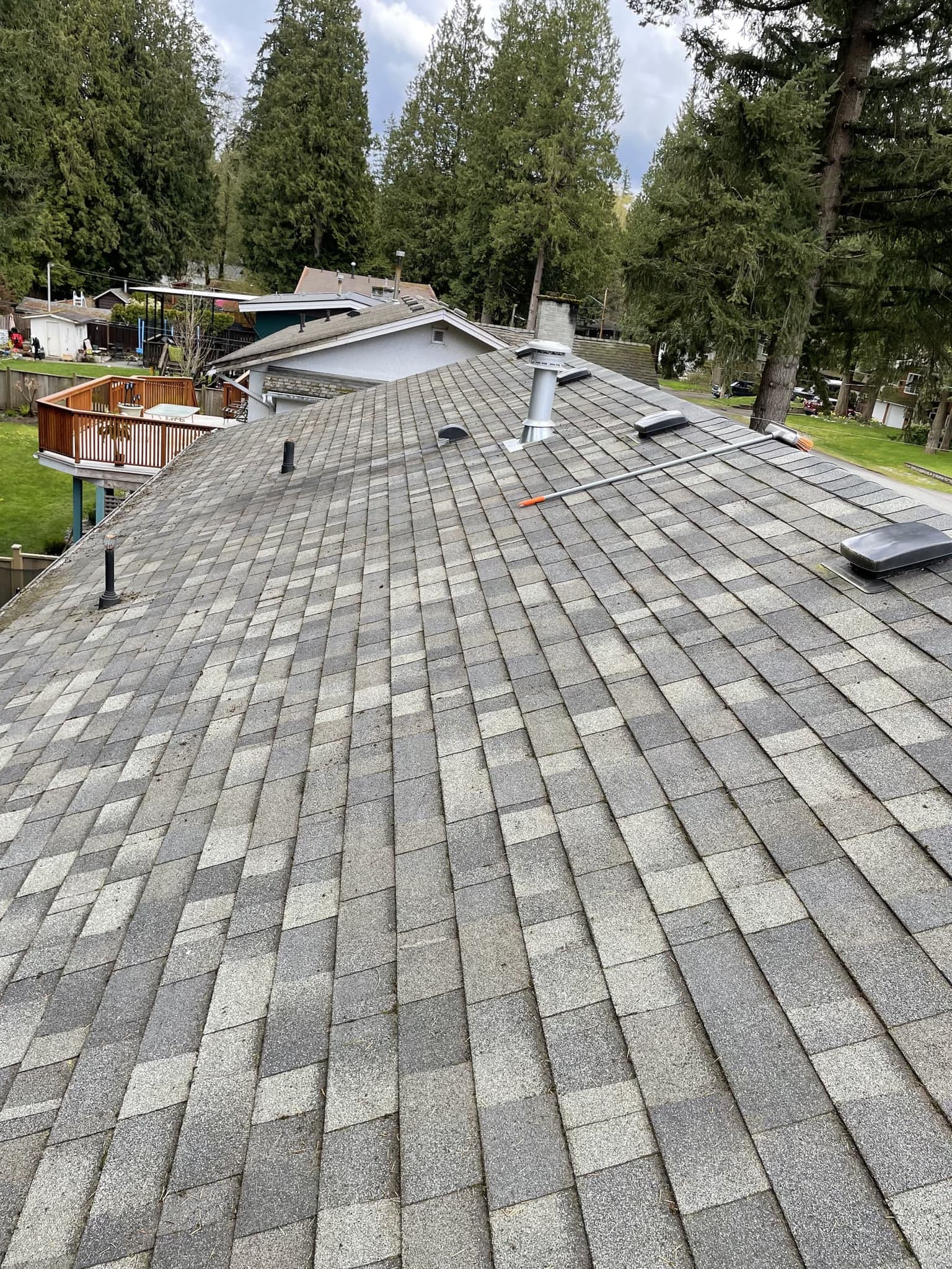 Clean roof after soft-wash treatment