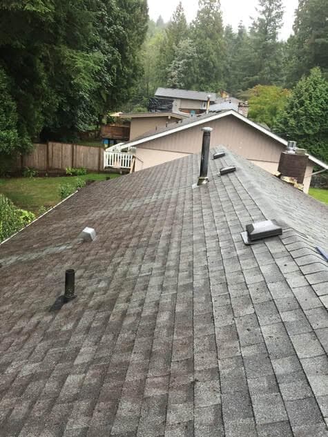 After: clean, restored roof surface