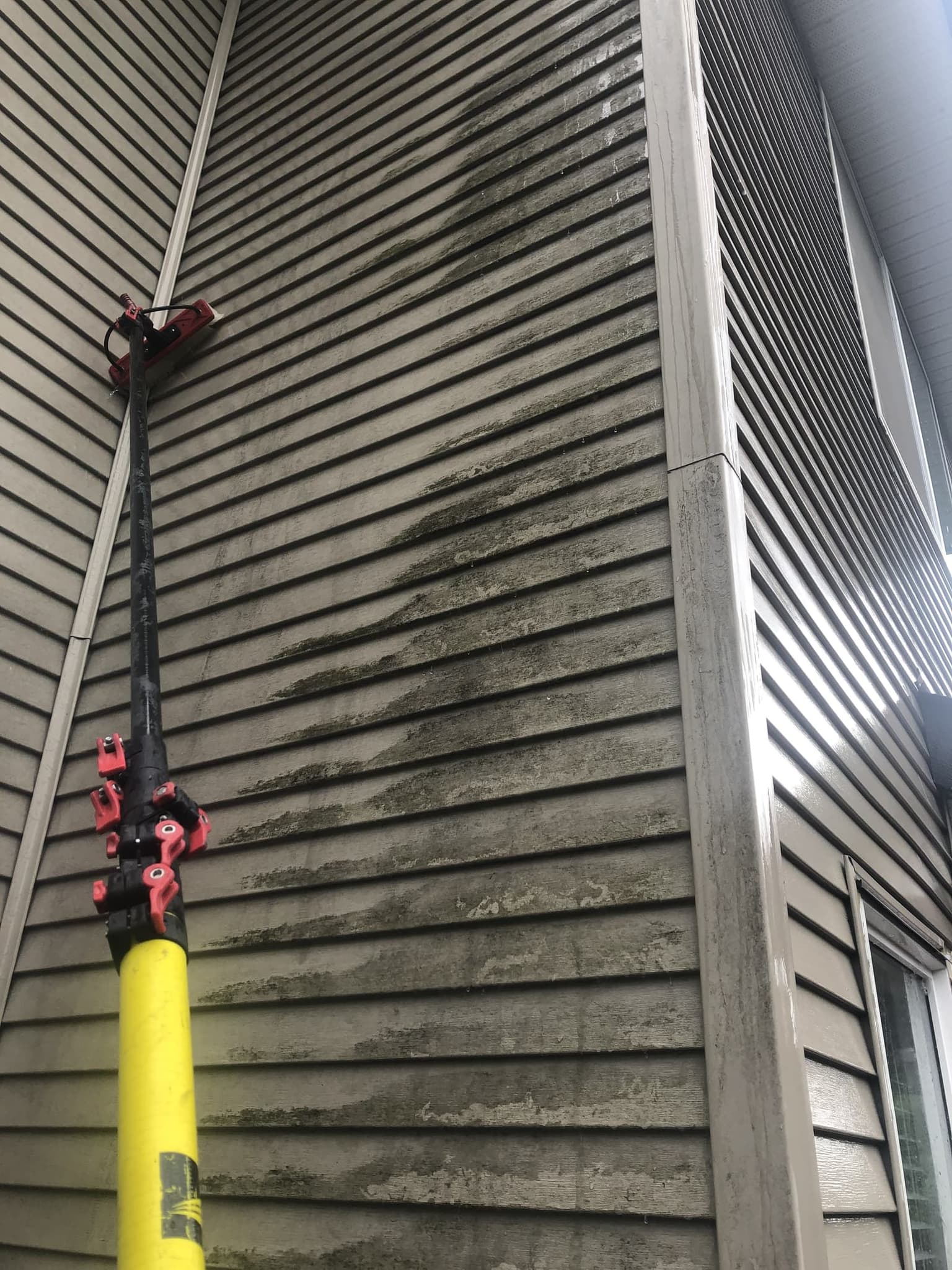 Dirty, mold-covered siding before cleaning