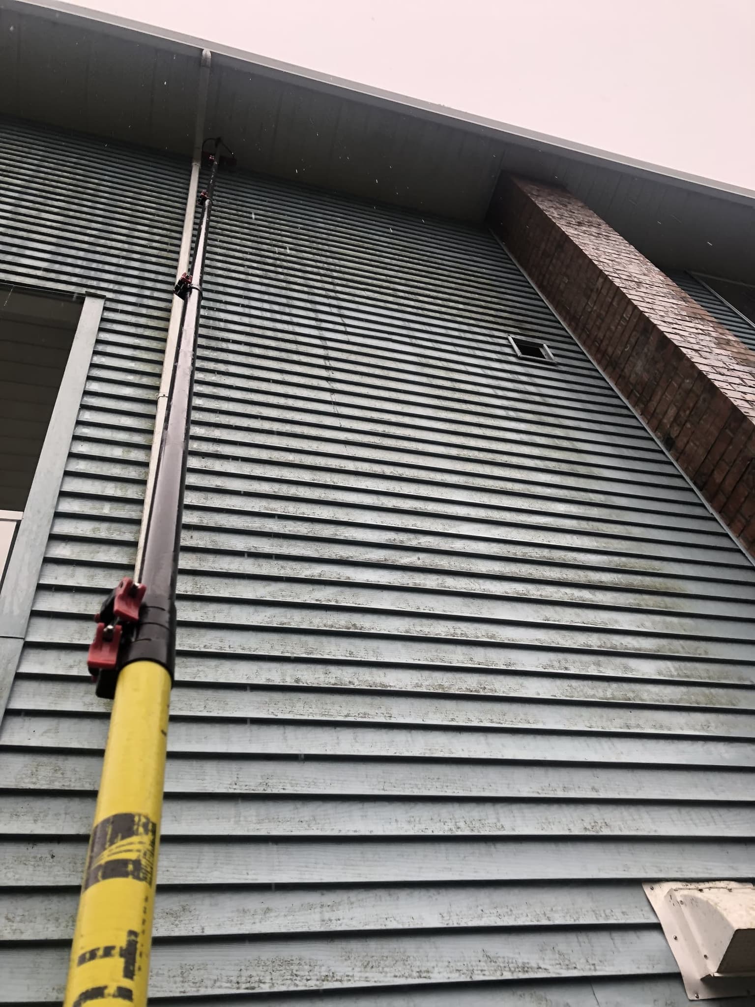 Before: green algae on siding